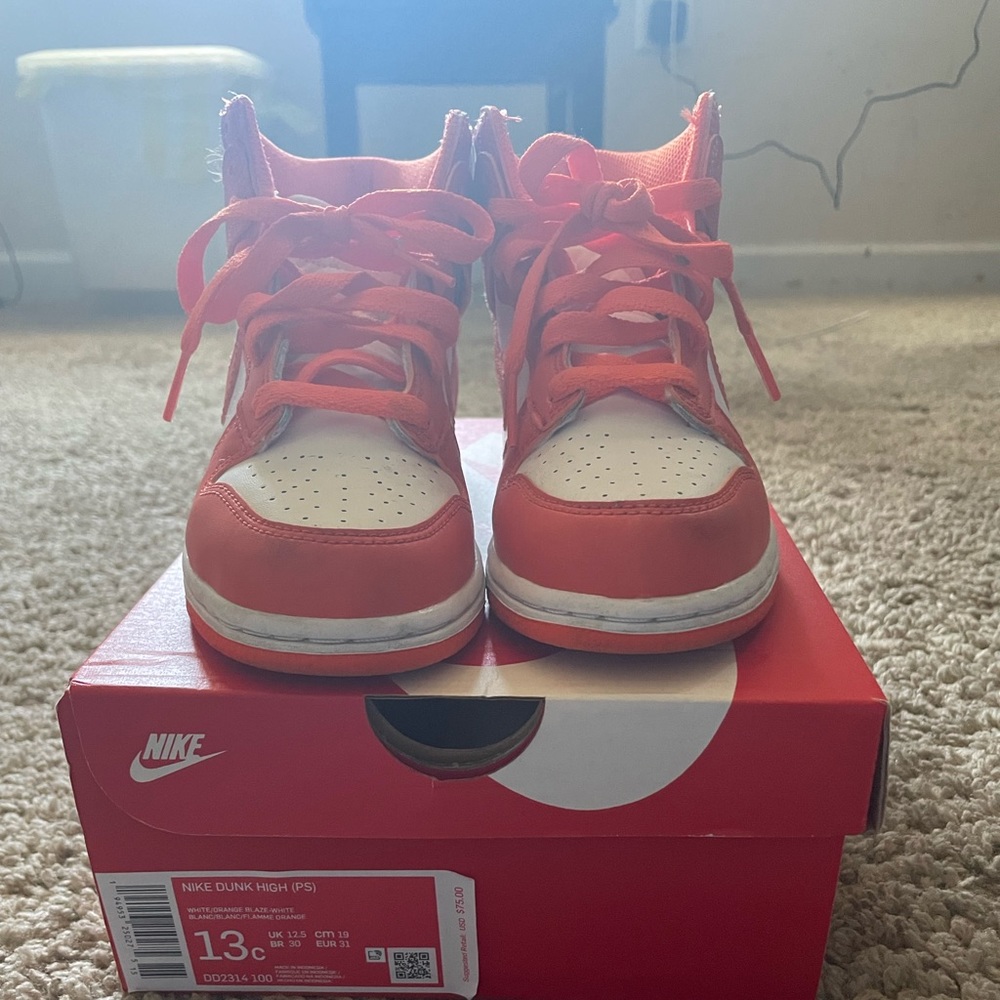 Nike Dunk High